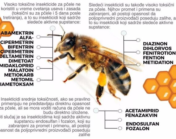 Kako bi izgledao svet bez pčela?
