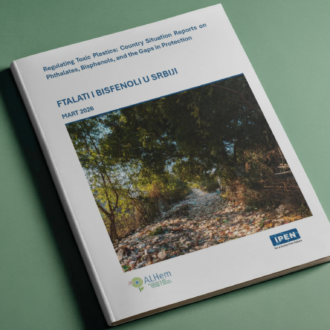 web delf – kopija-2