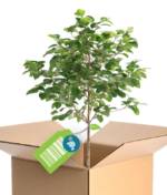 ALHem nastavlja rad na unapređenju zelenih javnih nabavki u Srbiji