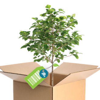 web delf – kopija – kopija – kopija – kopija – kopija – kopija